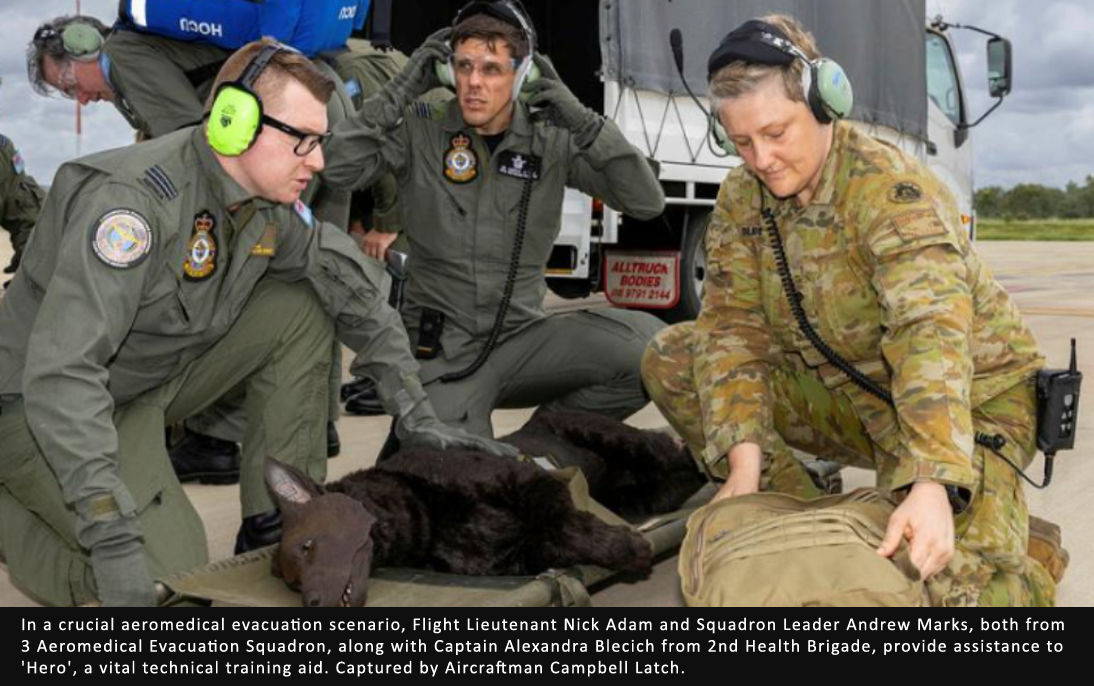 Near the ramp of a C-17 Globemaster, a military working dog and two handlers lay still on stretchers, two of them injured by an Improvised Explosive Device (IED) blast. Meanwhile, RAAF personnel swiftly prepared them for aeromedical evacuation.   Among the casualties is 'Hero', a canine mannequin with a wounded leg, accompanied by two human mannequins—one intubated with severe head and chest injuries, the other recovering from a heart attack. Urgent evacuation with enroute critical care is imperative for all.   In this high-stakes scenario, clinical staff exert all efforts to provide necessary treatment with available resources. One such member is Captain Alexandra Blecich, a registered veterinarian employed at Headquarters 2nd Health Brigade. She assists in determining appropriate medication, anaesthesia management, and optimal positioning for the canine on the stretcher.   “We found the stretcher configurations were not suitable for a dog,” Captain Blecich said.   “The stretcher pole places pressure on an injured leg, prompting us to improvise with a worktable padded with a mat.    “This solution eliminated the need for purchasing additional equipment.”   Drawing on her 12 years of veterinary experience, Captain Alexandra Blecich innovatively explored various human-sized blood-pressure cuff fittings, ranging from paediatric to infant sizes. This adaptation was crucial to accommodate the diverse range of Defence dogs, from kelpies to German shepherds.   As a seasoned veterinarian, Captain Blecich provided expert guidance to medical personnel, many of whom lacked prior experience with canines. She skilfully directed them through essential tasks such as pain relief, induction and intubation management, anaesthesia maintenance, and injury stabilisation. Her expertise proved invaluable in ensuring the effective care and treatment of the injured animals.   “The mannequin is a great training aid to rehearse on. If you don’t fit the canine-specific tourniquet correctly, the dog will continue to bleed,” Captain Blecich said.    During the scenario, Air Force health specialists had the opportunity to determine the optimal positioning for the dog within the aircraft, including whether its nose or tail should face forward, and whether its legs should face inboard or outboard in the litter bay.   Captain Blecich made history as the first veterinarian officer to take part in a military critical care aeromedical evacuation team (MCAT) scenario at RAAF Base Amberley. Collaborating with personnel from the Health Operational Conversion Unit and 3 Aeromedical Medical Evacuation Squadron, she brought her expertise to enhance the team's capabilities.   Group Captain David Cooksley, Clinical Director for Emergency and Aeromedical Evacuation at Headquarters Health Reserves Branch, invited Captain Blecich to observe the MCAT course, recognising her valuable insights and contributions to the field.   During her inaugural flight aboard an Air Force aircraft, Captain Blecich gained invaluable insight into the aeromedical evacuation environment, ensuring the safe and effective care of ill or injured canines.   Group Captain Cooksley's interest in pre-veterinary treatment and transport of injured canines was sparked during his training with the United Kingdom military medical emergency response team in 2013. It was during this time that he discovered the expectation for clinicians to provide care and transport for injured dogs on the battlefield.   “This surprised me, as my understanding of dogs was limited to knowing they should have a wet nose and a wagging tail,” Group Captain Cooksley said.   “I was inspired to learn how to care for dogs as a human healthcare provider and start developing our military working dog pre-veterinary care and aeromedical evacuation capability.   “These are valuable serving members, and we have a legal and moral responsibility to provide them appropriate medical support.”    He emphasised that the presence of an Army veterinarian training alongside the Air Force in evacuation heightened awareness significantly.   “In the past, we depended on our coalition partners, who have a veterinary corps,” Captain Blecich said.   “We may not always have access to them in all the locations where we are deployed, which is why we need a backup plan when caring for our military working dogs.”       Embed video from https://militaryshop.com.au/collections/purple-poppy-collection.html      Are you looking for ways to honour the brave animals who served in war? Explore our Purple Poppy Collection – from charming charms to sleek lapel pins and more, each piece celebrates their courage and your purchase helps us to donate to the AWAMO.     There's more! Explore the bond between handler and military working dog with our exclusive A Bond Forged Limited Edition Figurine. This stunning piece captures the trust and companionship between them, a bond forged in the heat of battle. 